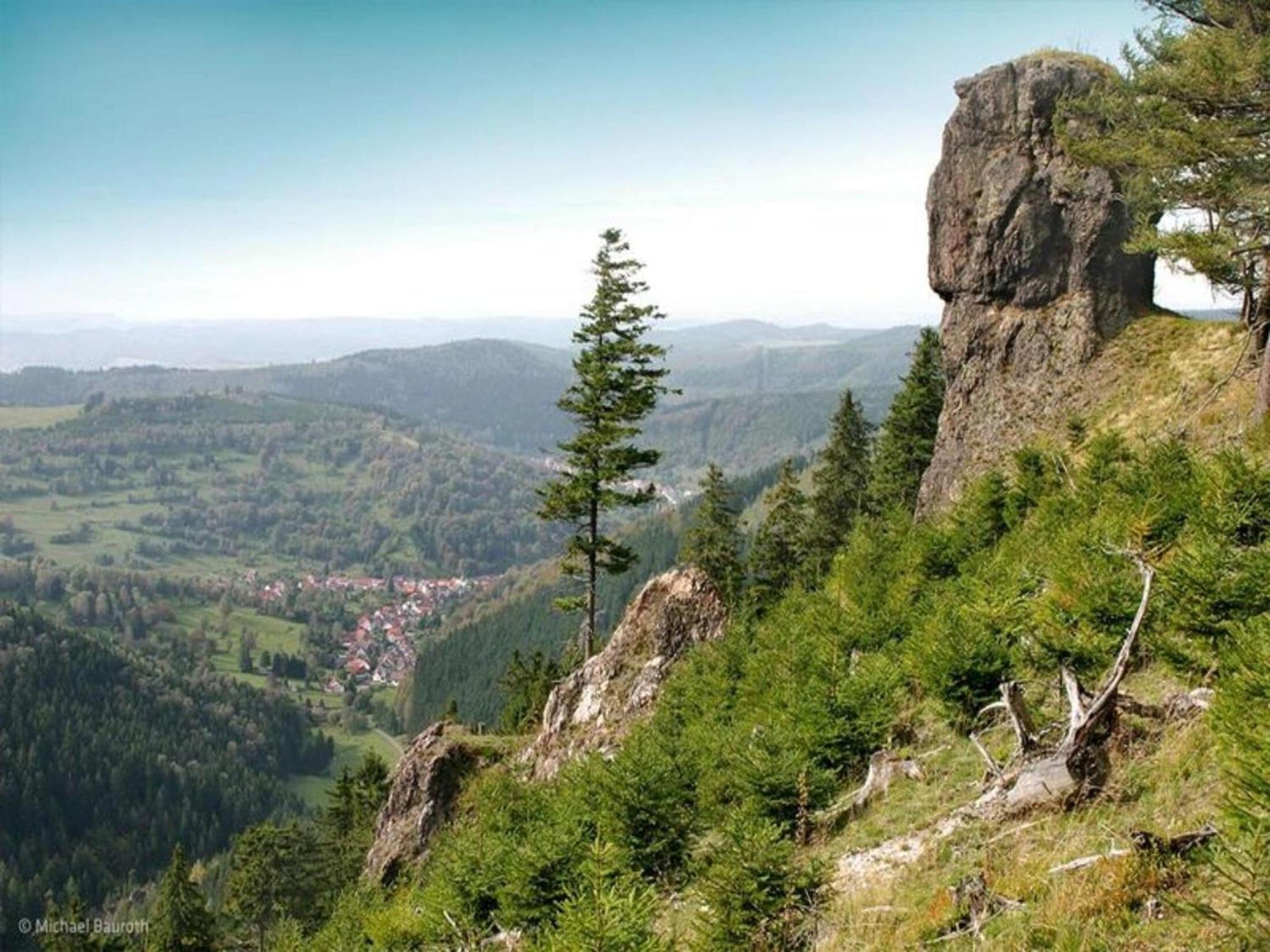 Vacation Home Am Hermannsberg, Oberschoenau Oberschonau Eksteriør bilde